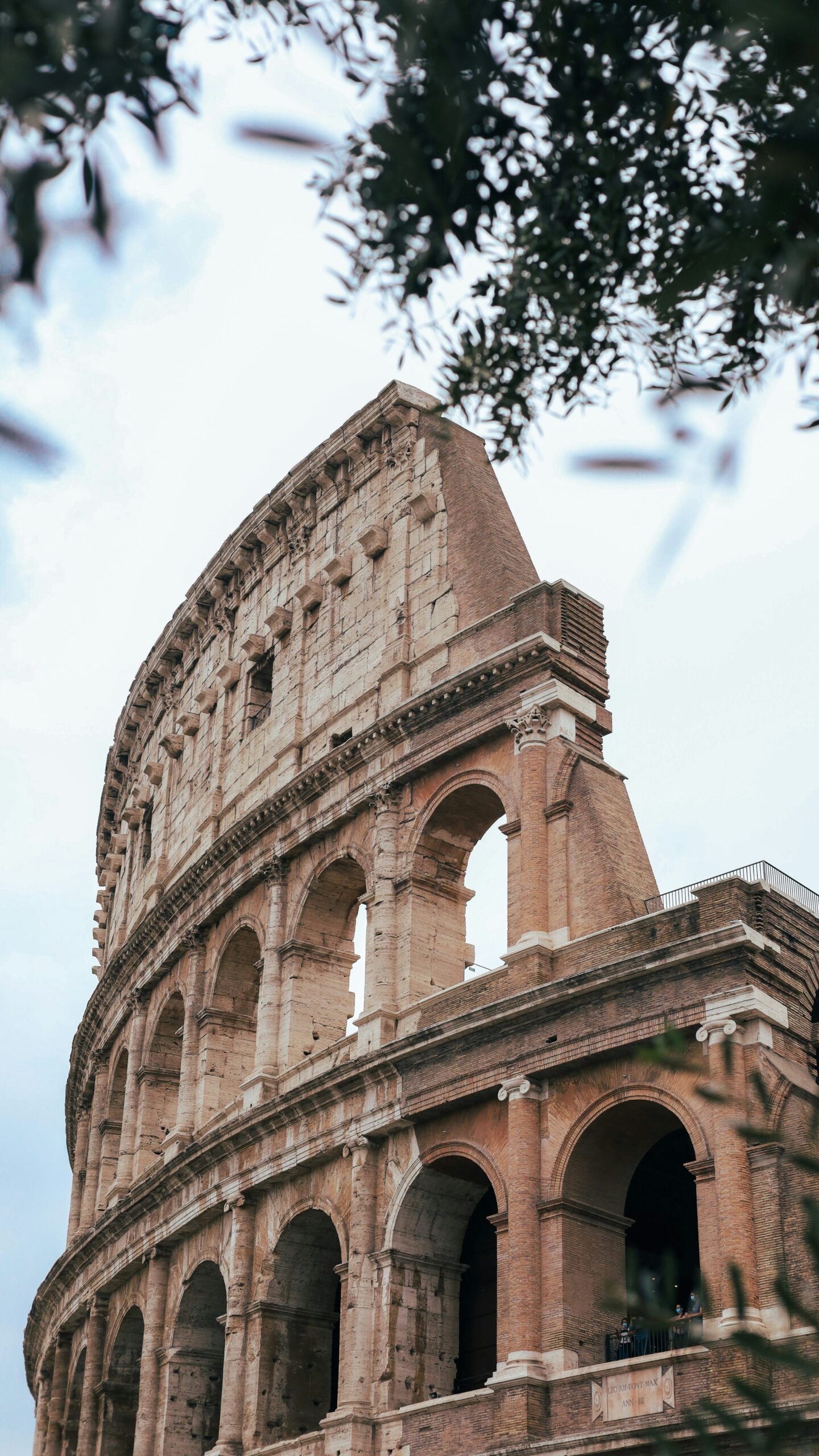 andrea cipriano 3b4e9d731me unsplash